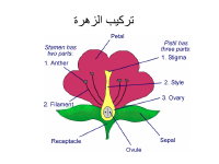 sec 9.pdf